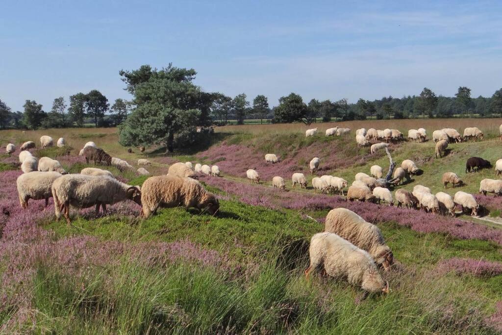 Villa 4-6 Persoons Vakantiewoning Met Eigen Tuin Bakkeveen Exterior foto